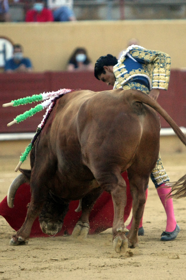 Ávila. Sábado, 18 de julio de 2020.