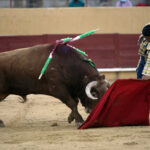 Ávila. Sábado, 18 de julio de 2020.