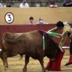 Ávila. Sábado, 18 de julio de 2020.