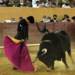 Ávila. Sábado, 18 de julio de 2020.