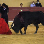 Ávila. Sábado, 18 de julio de 2020.