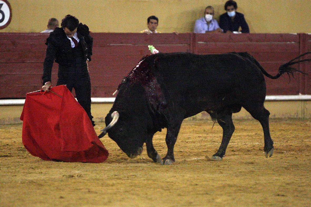 Ávila. Sábado, 18 de julio de 2020.