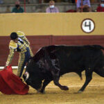 Ávila. Sábado, 18 de julio de 2020.