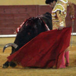 Ávila. Sábado, 18 de julio de 2020.