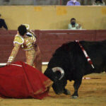 Ávila. Sábado, 18 de julio de 2020.