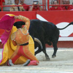 Beaucaire, 26 de julio de 2020