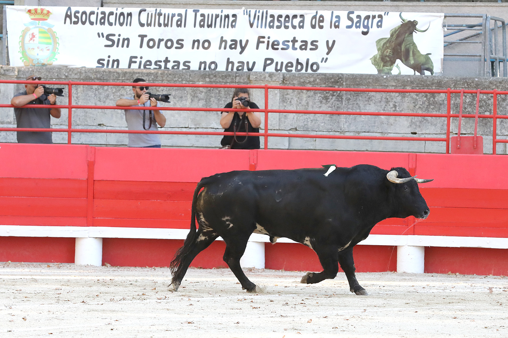 Dolores Aguirre repite en la novillada de julio de Beaucaire