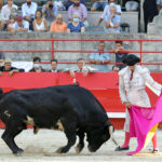 Beaucaire, 26 de julio de 2020