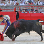 Beaucaire, 26 de julio de 2020