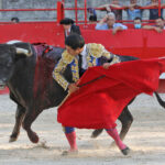 Beaucaire, 26 de julio de 2020