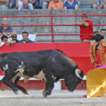 Beaucaire, 26 de julio de 2020