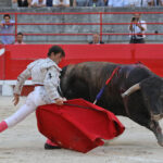 Beaucaire, 26 de julio de 2020
