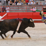 Beaucaire, 26 de julio de 2020
