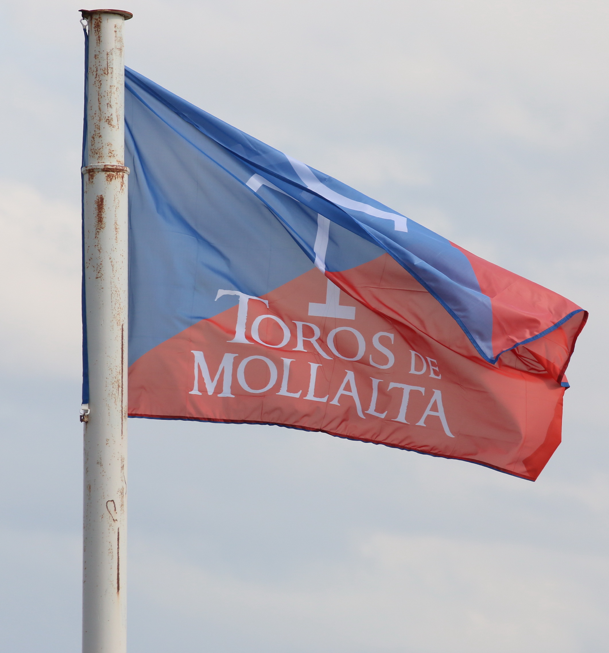 Ganadería Toros de Mollalta