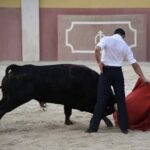 Tentadero de Daniel Luque en Valverde y Concha y Sierra