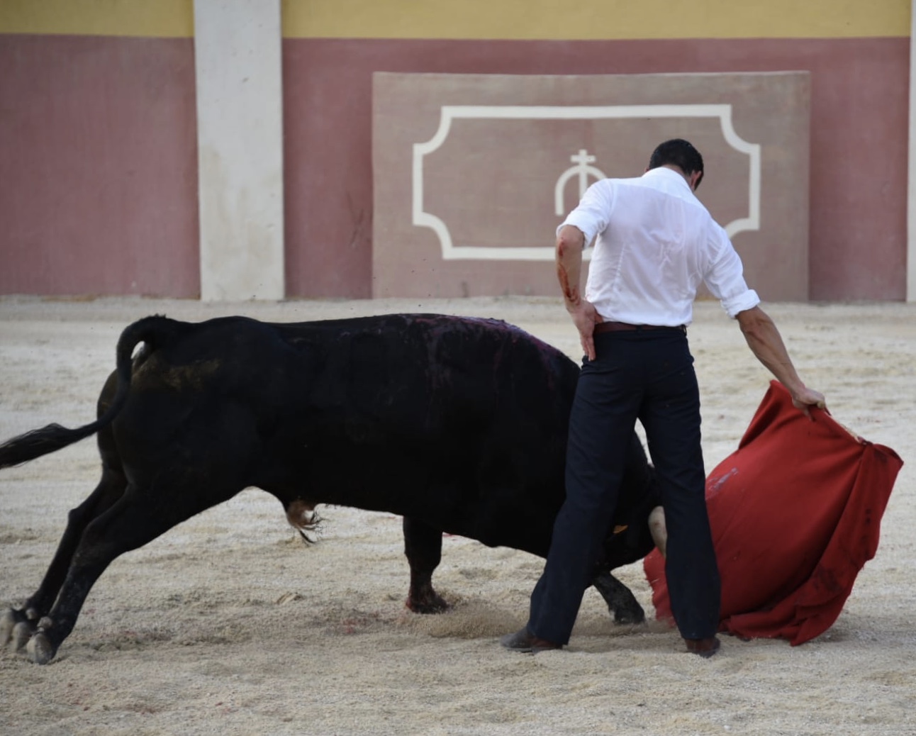 Tentadero de Daniel Luque en Valverde y Concha y Sierra