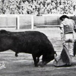 Clásico lance a pies juntos de Mario Cabré.