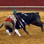 Estremoz (Portugal), 11 de julio de 2020.