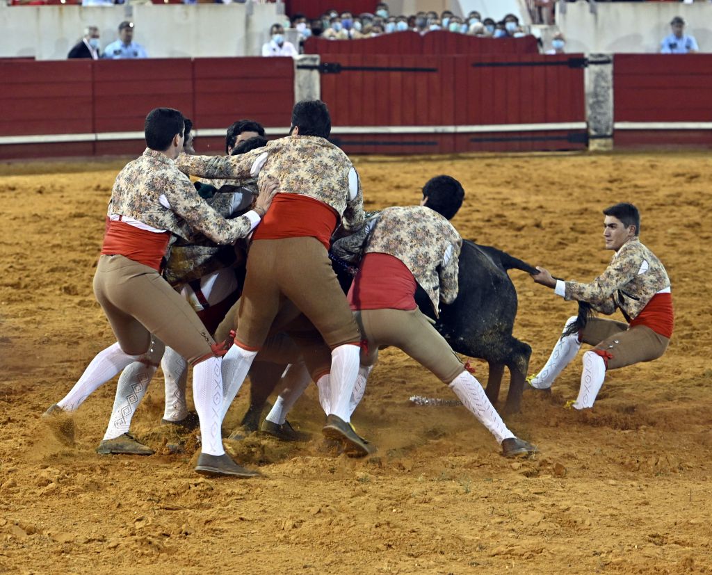 Estremoz (Portugal), 11 de julio de 2020.