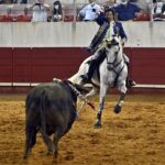 Estremoz (Portugal), 11 de julio de 2020.