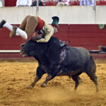 Estremoz (Portugal), 11 de julio de 2020.