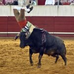 Estremoz (Portugal), 11 de julio de 2020.