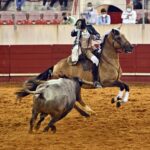 Estremoz (Portugal), 11 de julio de 2020.