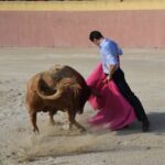 Tentadero de Daniel Luque en Valverde y Concha y Sierra