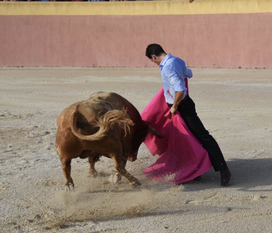 Tentadero de Daniel Luque en Valverde y Concha y Sierra