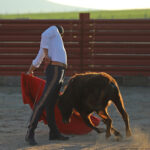 Tentadero de Calita en Bellos Montes