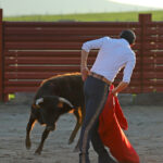 Tentadero de Calita en Bellos Montes