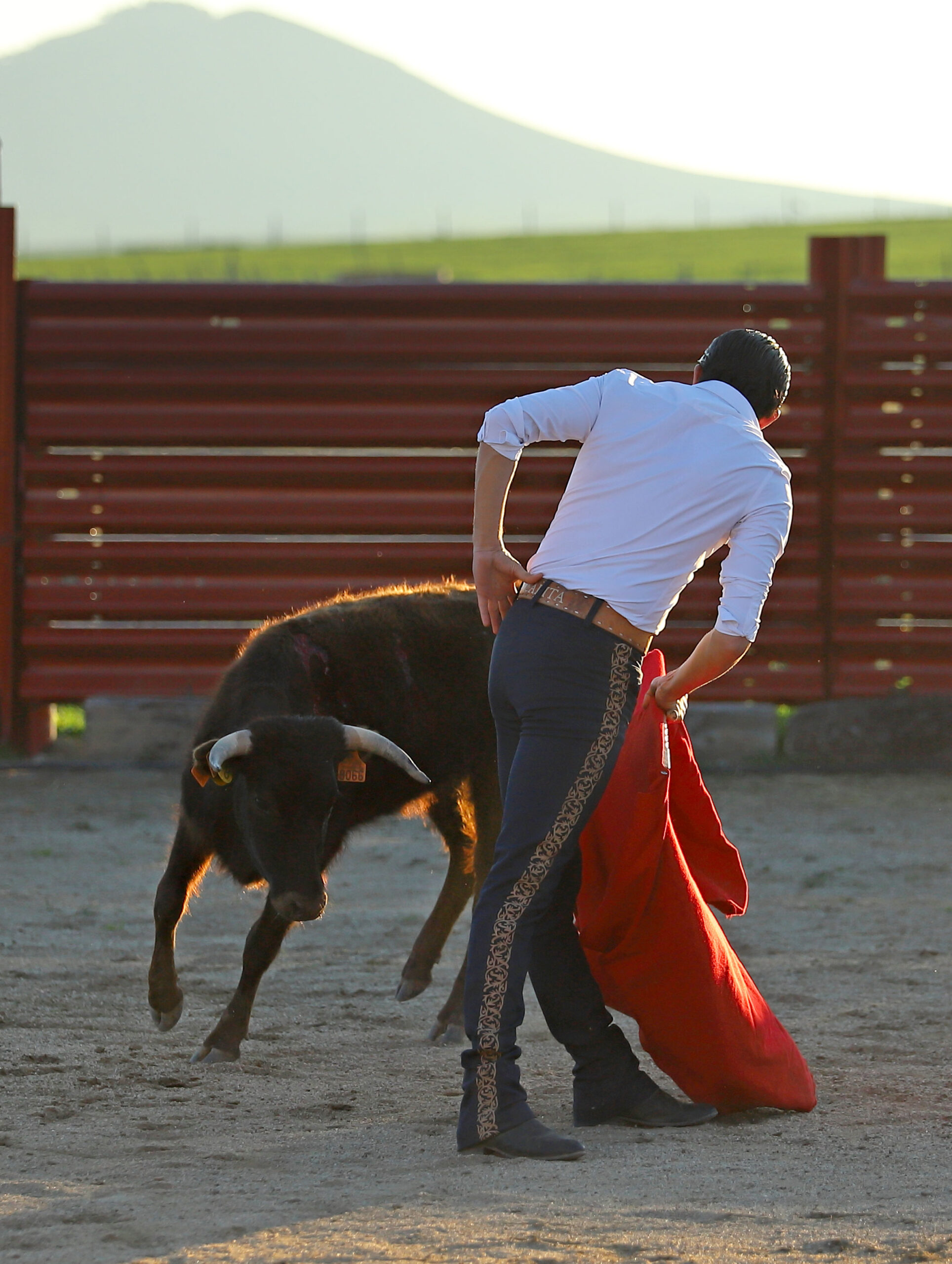 Tentadero de Calita en Bellos Montes