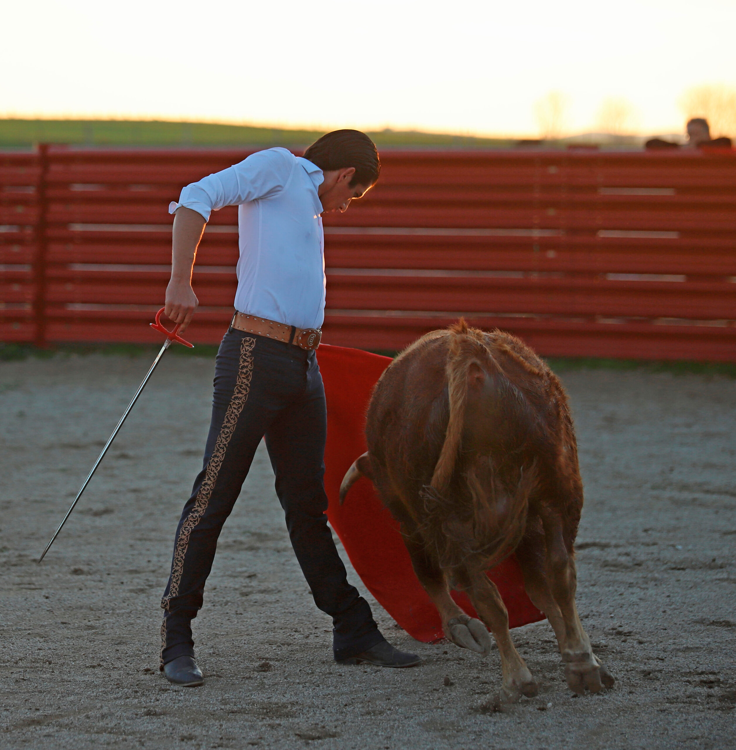 Tentadero de Calita en Bellos Montes
