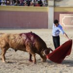 Tentadero de Daniel Luque en Valverde y Concha y Sierra