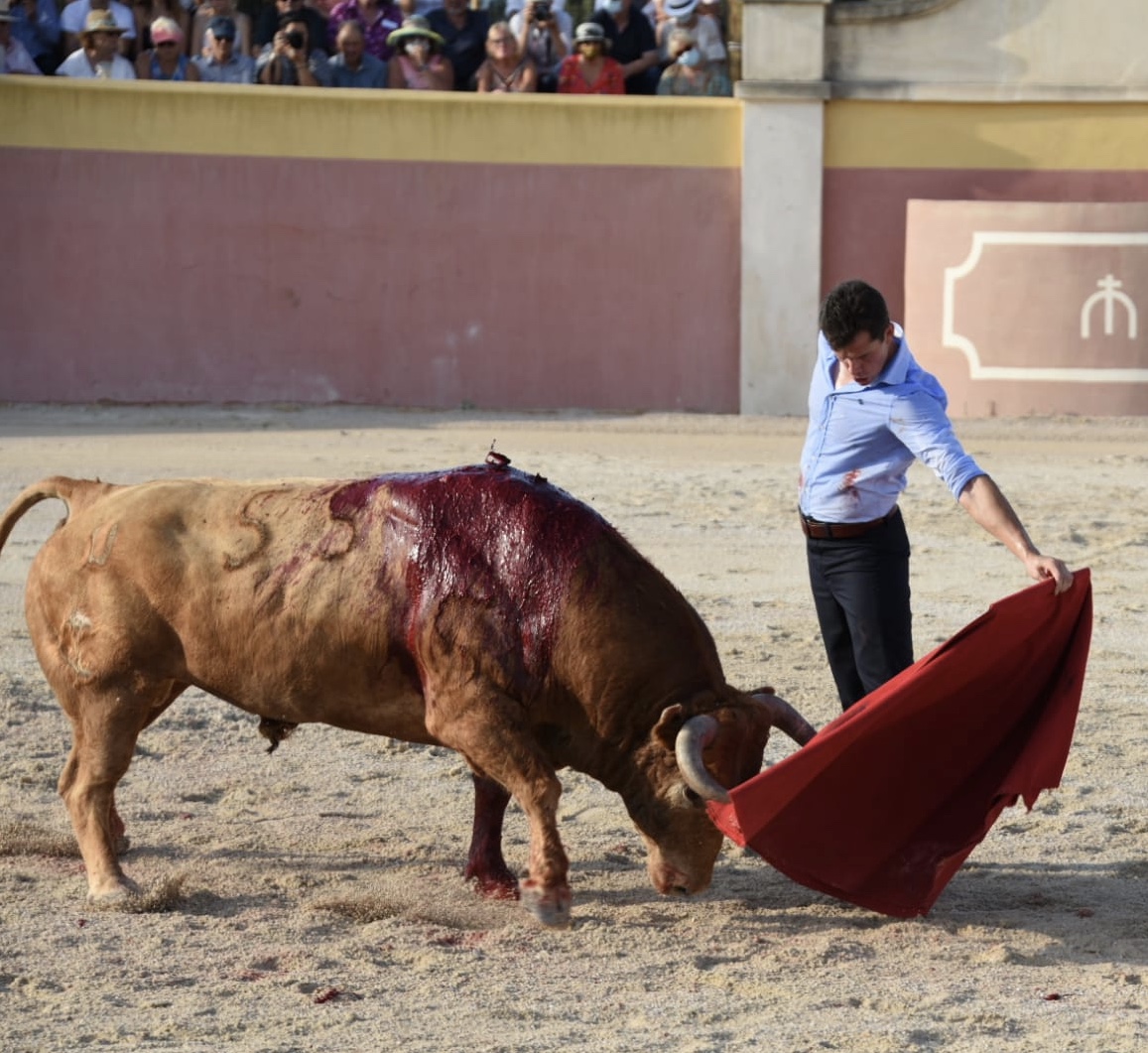 Tentadero de Daniel Luque en Valverde y Concha y Sierra