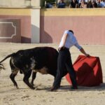 Tentadero de Daniel Luque en Valverde y Concha y Sierra