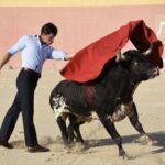 Tentadero de Daniel Luque en Valverde y Concha y Sierra