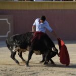 Tentadero de Daniel Luque en Valverde y Concha y Sierra