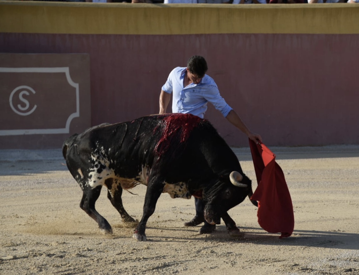 Tentadero de Daniel Luque en Valverde y Concha y Sierra