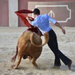 Tentadero de Daniel Luque en Valverde y Concha y Sierra