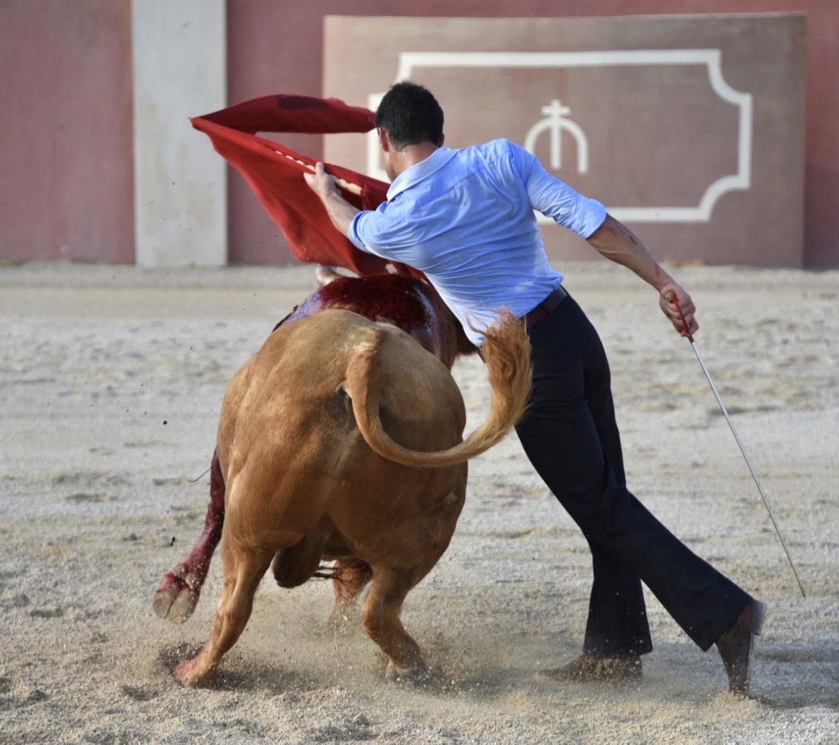 Tentadero de Daniel Luque en Valverde y Concha y Sierra