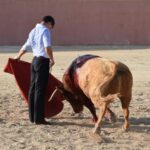 Tentadero de Daniel Luque en Valverde y Concha y Sierra