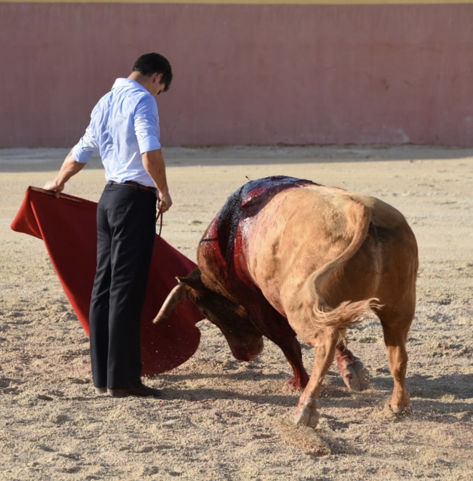 Tentadero de Daniel Luque en Valverde y Concha y Sierra