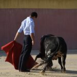 Tentadero de Daniel Luque en Valverde y Concha y Sierra