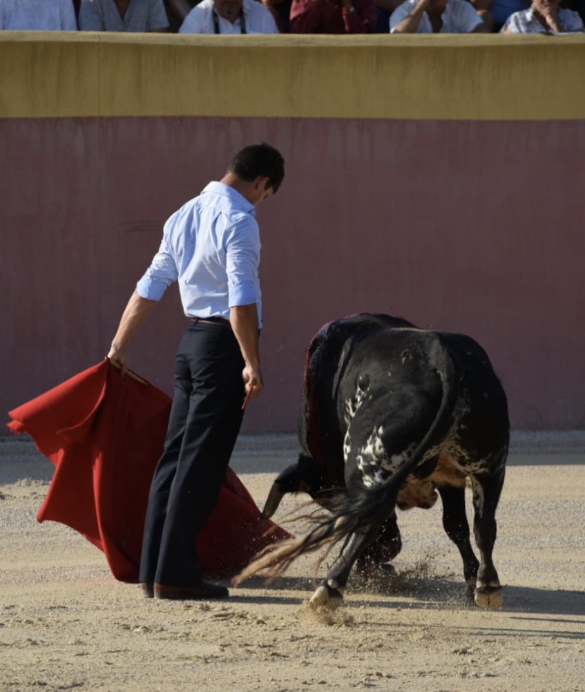 Tentadero de Daniel Luque en Valverde y Concha y Sierra