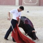 Tentadero de Daniel Luque en Valverde y Concha y Sierra