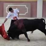 Tentadero de Daniel Luque en Valverde y Concha y Sierra