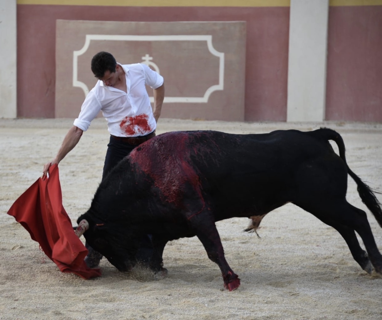Tentadero de Daniel Luque en Valverde y Concha y Sierra
