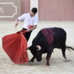 Tentadero de Daniel Luque en Valverde y Concha y Sierra