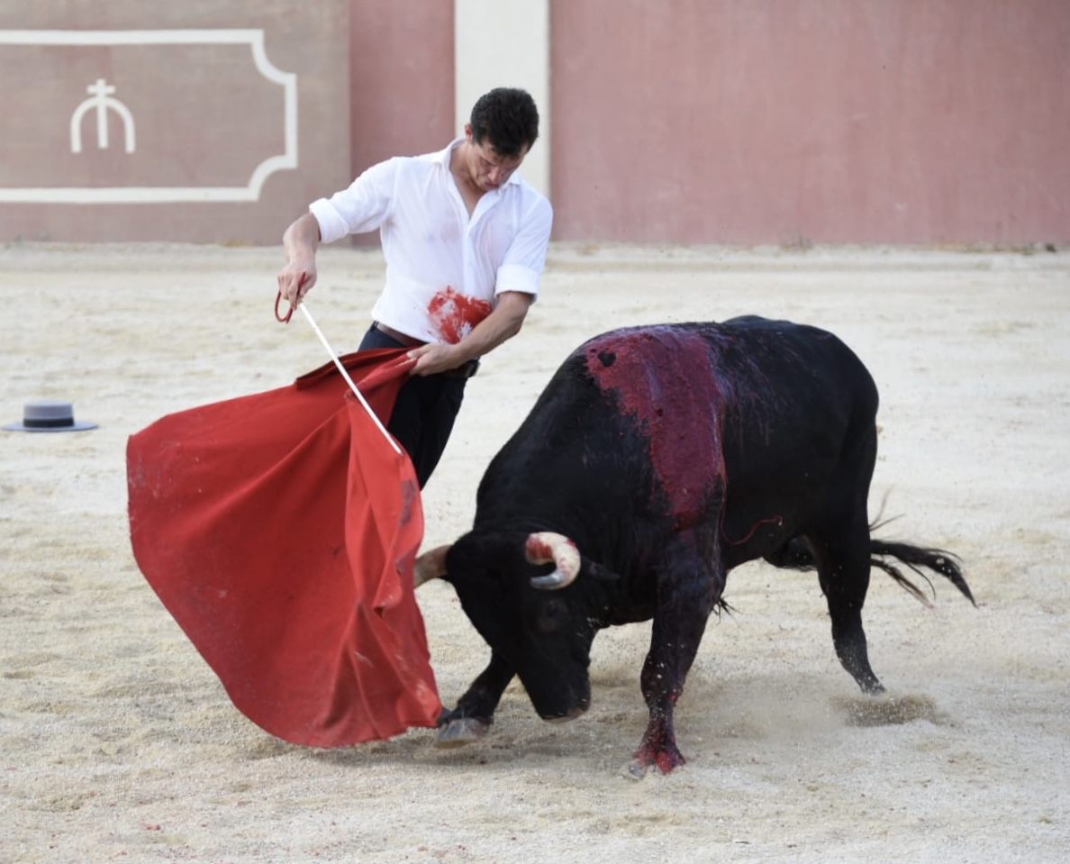 Tentadero de Daniel Luque en Valverde y Concha y Sierra